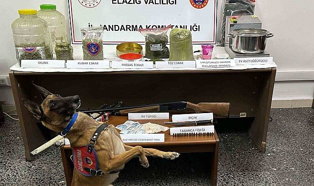 Elazığ'da uyuşturucu tacirlerine operasyon: 1 tutuklama