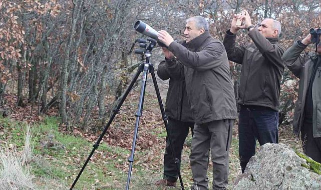 Elazığ'da yaban keçisi envanter çalışması yapıldı