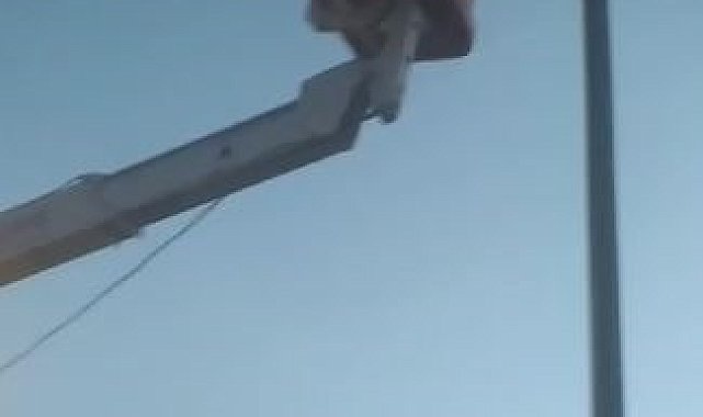 Elektrik direğinde mahsur kalan kedi kurtarıldı