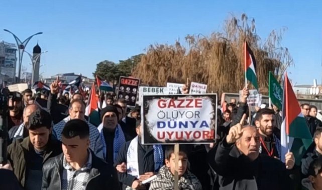 Erciş'te 'Filistin'e özgürlük İsrail'e lanet' yürüyüşü