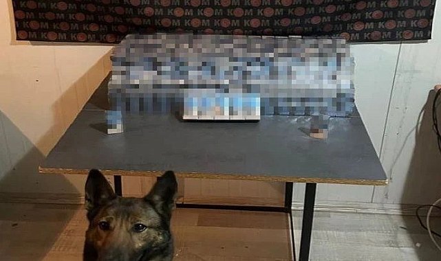 Erzincan'da kaçak sigara operasyonu: 1 gözaltı