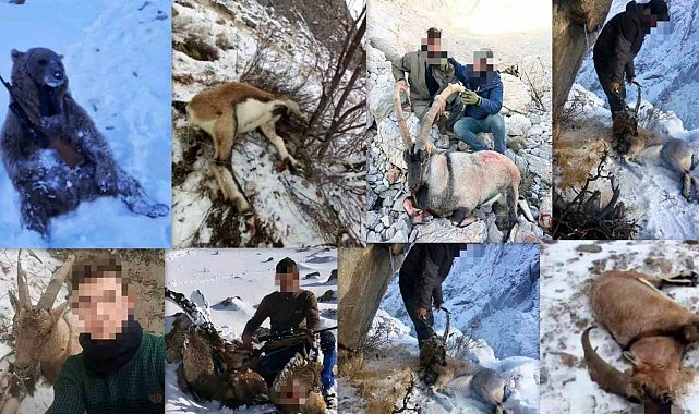 Erzincan'da yaban keçisi avlayan 5 kişiye 5 milyon 207 bin 178 TL rekor para cezası