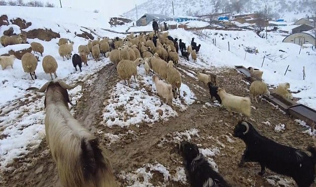 Erzincan'ın köylerinde kış mesaisi başladı