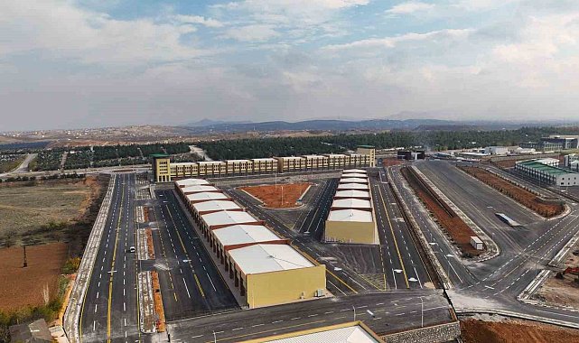 Gürkan, Yeni Buğday Pazarında incelemelerde bulundu