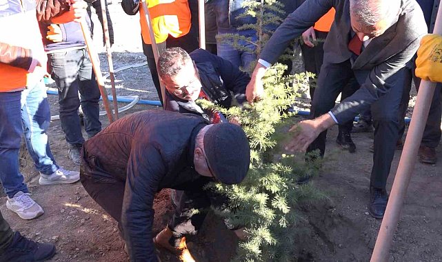 Iğdır'da ağaçlandırma seferberliği