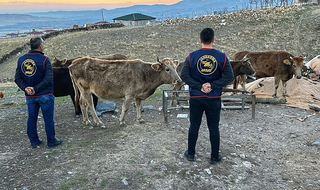 Iğdır'da çalınan hayvanlar bulunarak sahibine teslim edildi