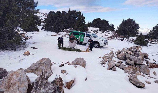 Jandarma çevre ve doğa koruma timleri yaban hayvanlarını unutmadı