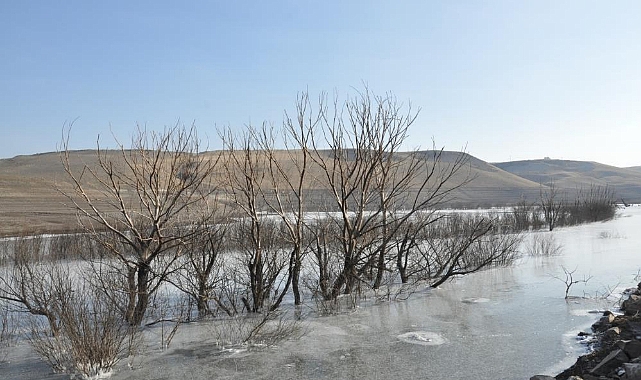 Kars'ta soğuktan baraj gölü dondu