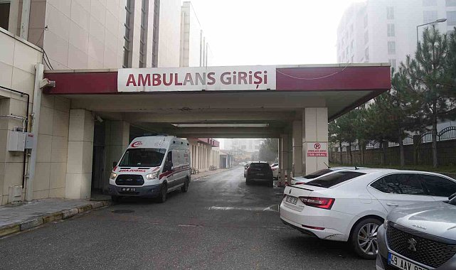 Köpeklerin saldırısına uğrayan yaşlı kadın tedavi altına alındı