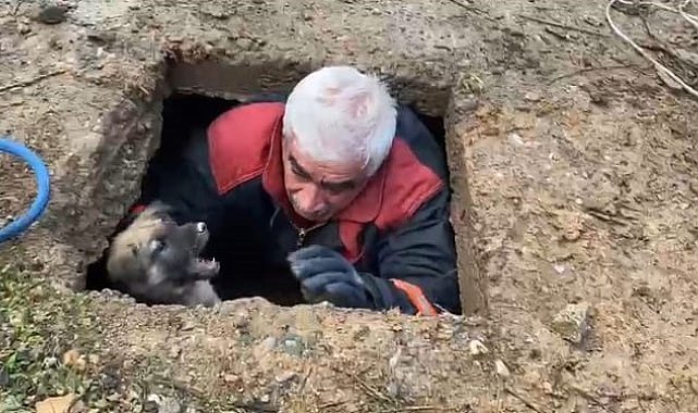 Kuyuya düşen köpek kurtarıldı