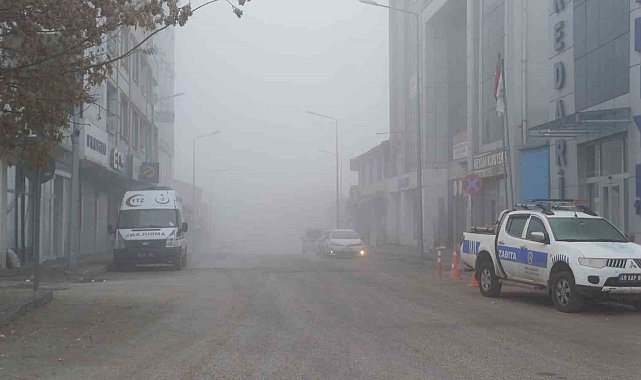 Malazgirt'te soğuk hava ve sis etkili oldu