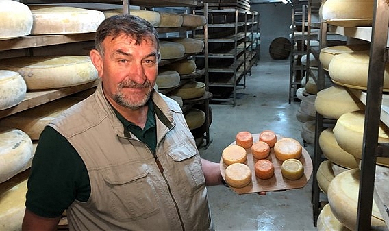 Mini Kars Kaşarları sofraları süsleyecek