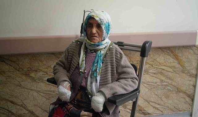 Muş Valiliğinden 'köpek saldırısı' açıklaması