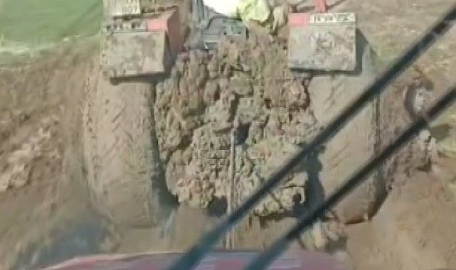 Muş'ta bataklığa dönen tarlada zorlu hasat