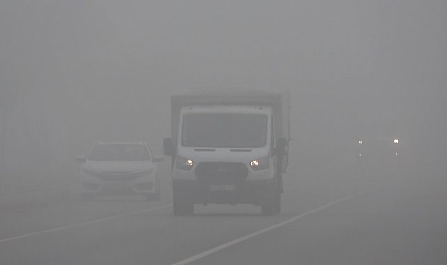 Muş'ta sis etkili oldu