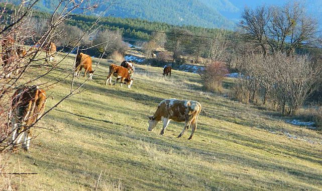 Posof'ta sonbahardan kalma günler