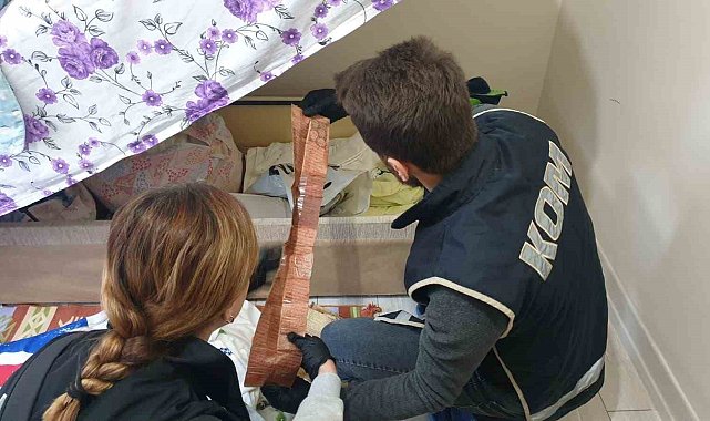 Tunceli'de 51 adet tarihi eser niteliğinde obje ele geçirildi