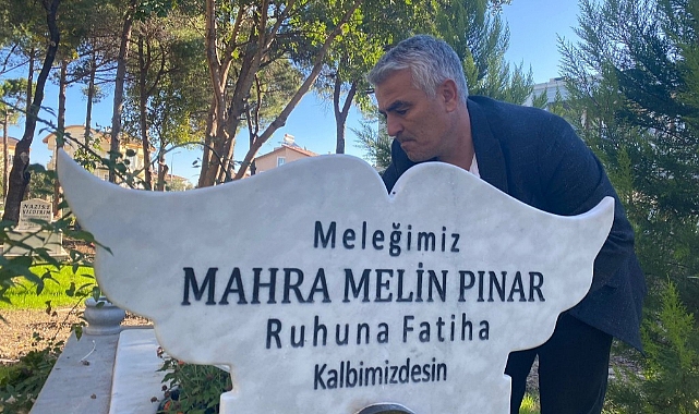 Türkiye'de başıboş köpeklerle ilgili acı tablo