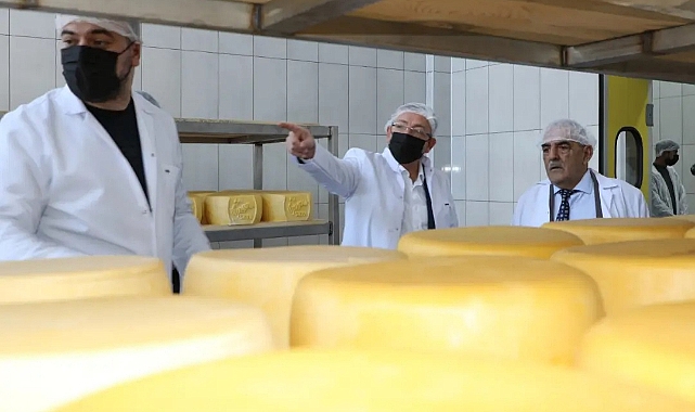 Vali Polat süt ürünleri üretim aşamalarını inceledi