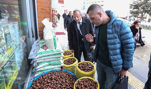 Van'da 'Çin kestanesi' denetimi