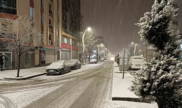 Van'da kar yağışı