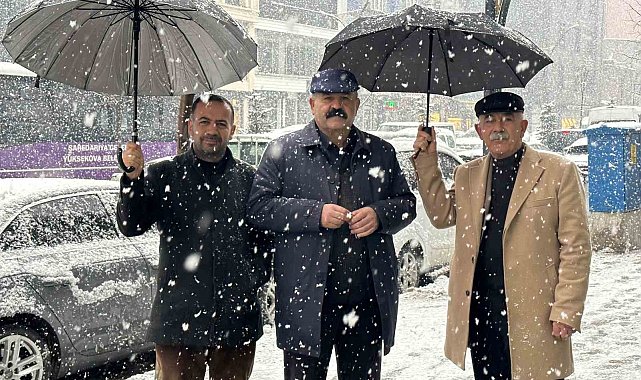 Yüksekova'da lapa lapa kar yağışı
