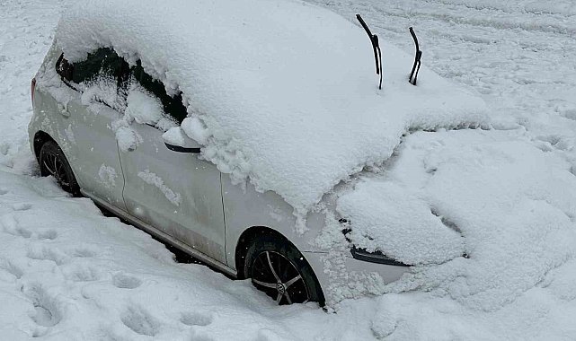 Yüksekova'da tek katlı evler ve araçlar kara gömüldü