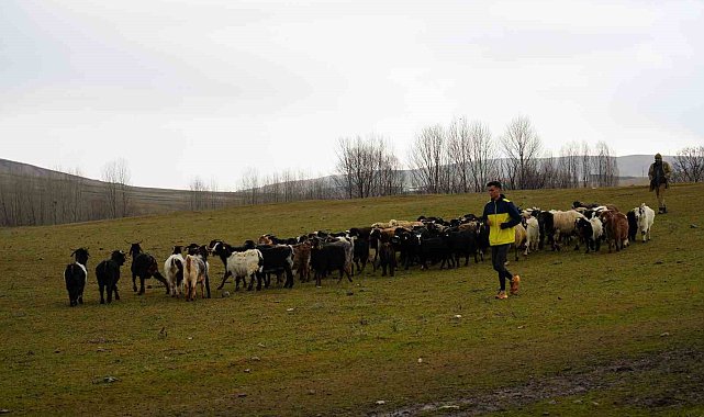 41 kez Türkiye şampiyonu olan İbrahim Karateker'in hedefi Olimpiyatlara kota almak