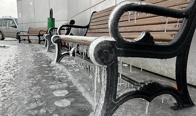 Ağrı'da kar yağışının ardından don etkili oldu