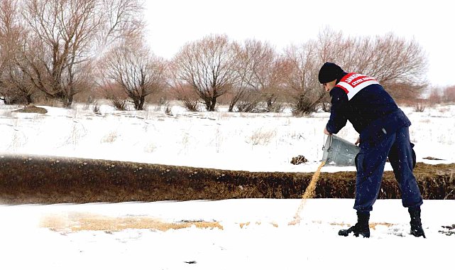 Ağrı'da yaban hayvanları unutulmadı