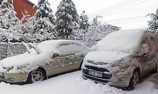 Ahlat'ta yoğun kar yağışı