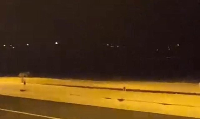 Ardahan'da aç kalan kurtlar şehir merkezine indi