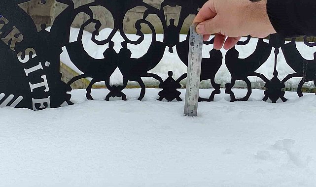 Ardahan'da kar hayatı felç etti