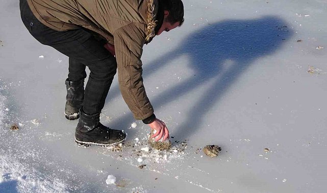 Bitlis'te göletler dondu