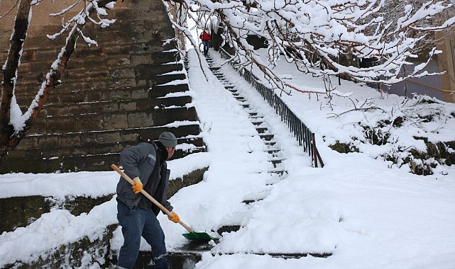 Bitlis'te topyekun kar seferberliği