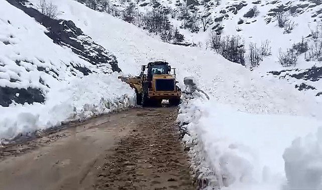 Çığ nedeniyle kapanan Yüksekova-Şemdinli kara yolu açıldı