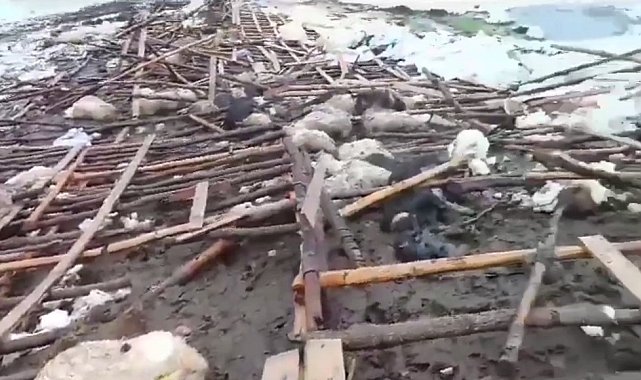 Derecik'te ahır çöktü, 40 küçükbaş hayvan telef oldu