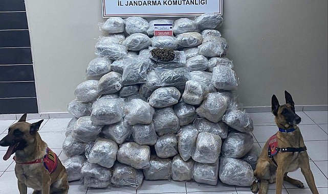 Elazığ'da 138 kilo skunk ele geçirildi