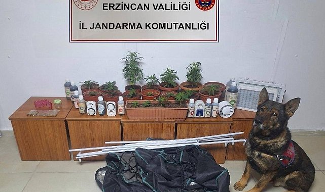 Erzincan'da jandarma ekipleri suç ve suçluya geçit vermiyor