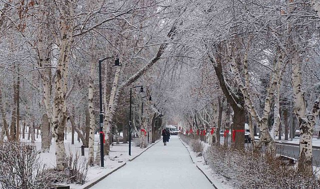 Erzurum'da kar yağışı şehri beyaza bürüdü