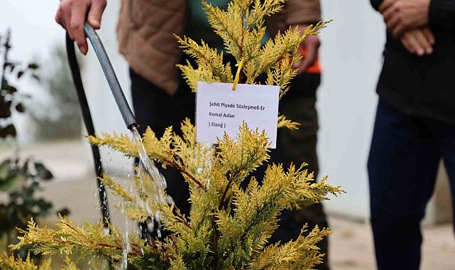 Fidanlar şehitler anısına dikildi