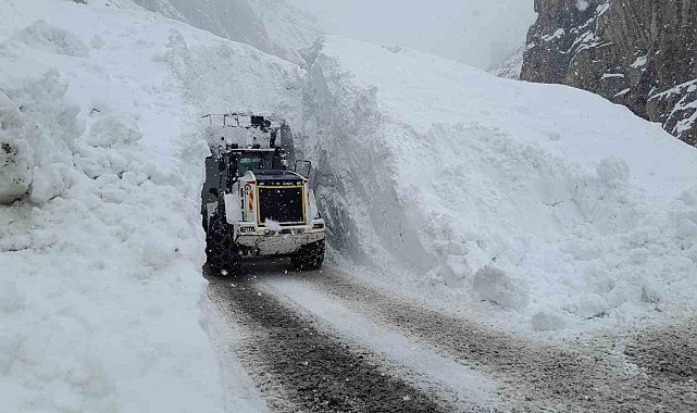 Hakkari'de çığ bölgesindeki çalışmalarda 10 metre yüksekten düşen ekip şefi yaralandı