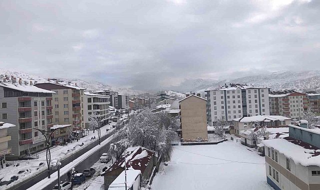 Hizan'da araçlar kara gömüldü