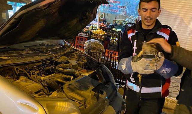 Iğdır'da otomobilin motoruna sıkışan yavru kedi kurtarıldı