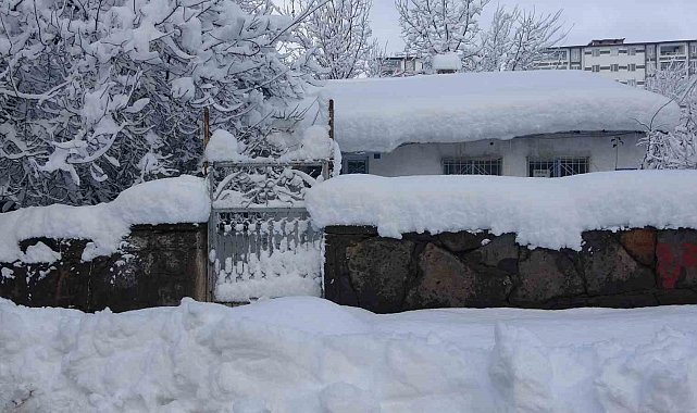Kar Bitlis'i esir aldı