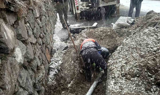 Kar yağışı altında hummalı çalıma