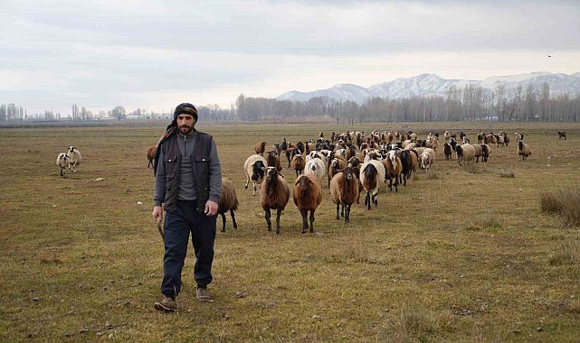 Kar yağmaması besicilere tasarruf sağlıyor