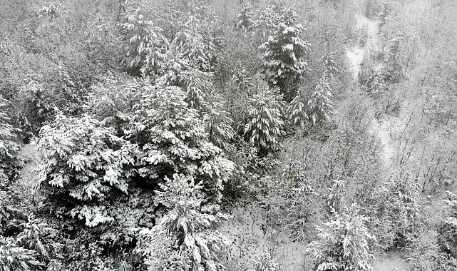 Karla kaplanan Tekçam Geçidi görsel şölen oluşturdu