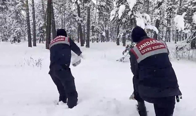 Kars'ta jandarma yaban hayvanlarına yiyecek bıraktı