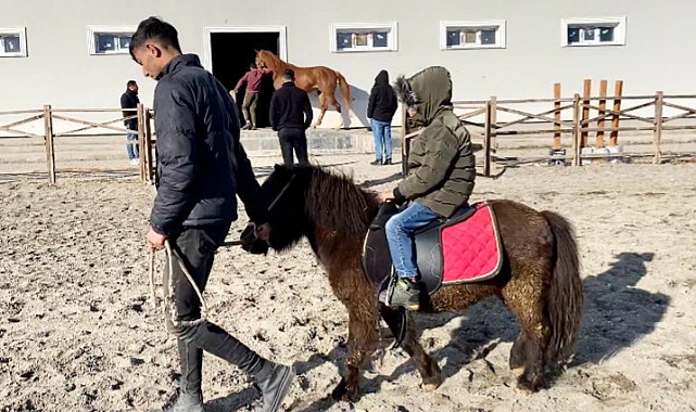 Kars'ta Midilli atları çocukların ilgisini çekiyor